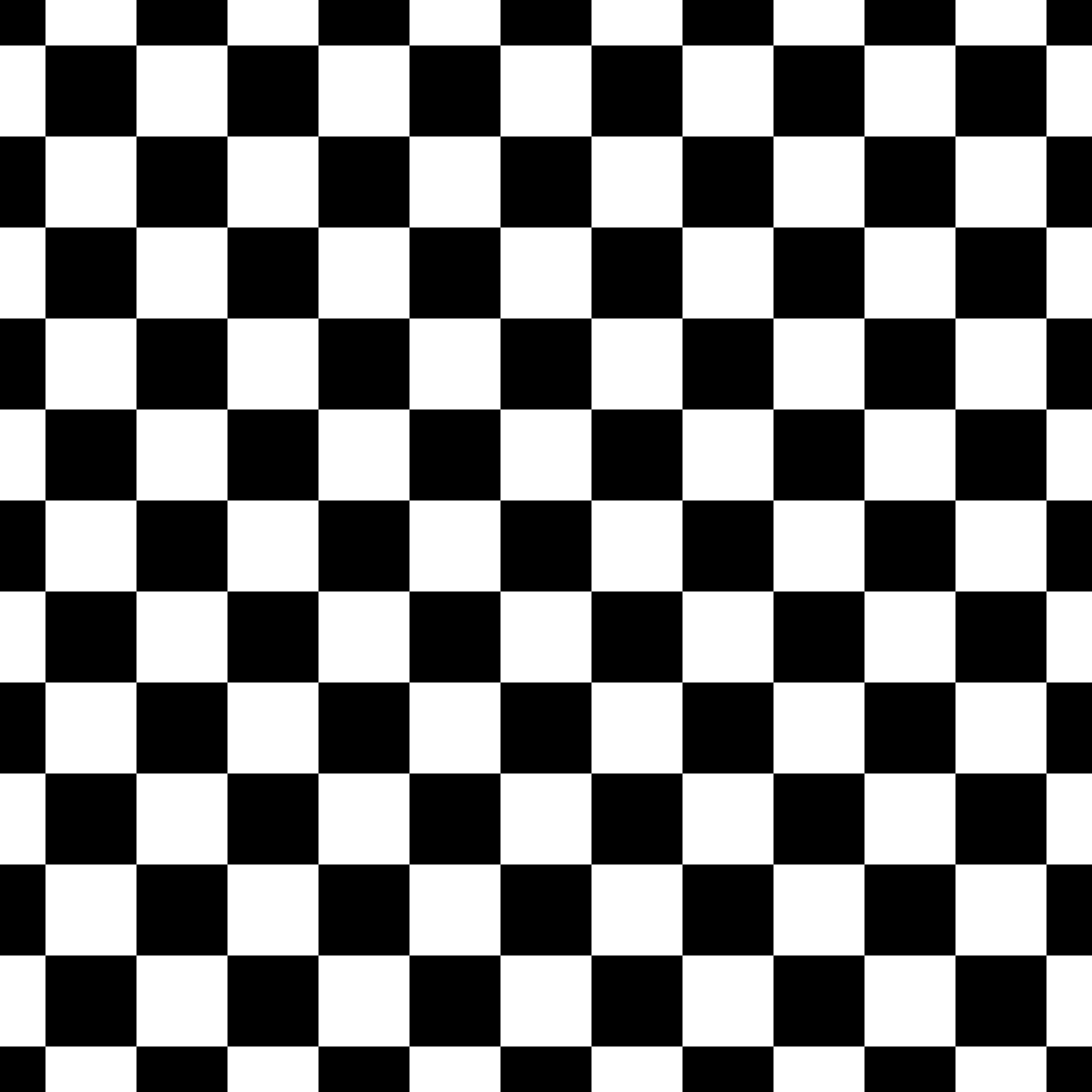 (MID OCTOBER PRE-ORDER) Black & White Checker  (SHAKE SIZE)